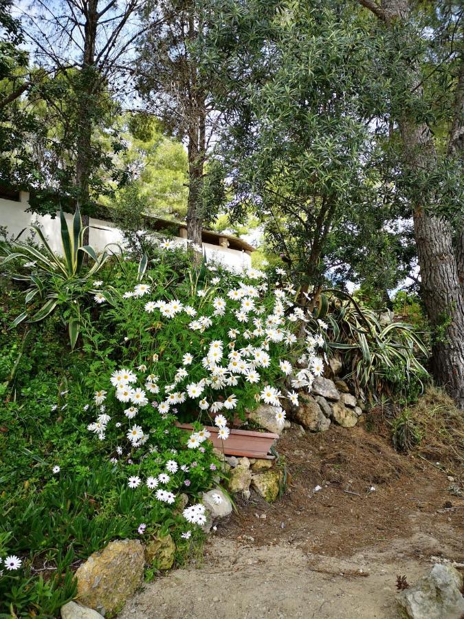 Apartamento Entre La Playa Y La Montana Calafell Exteriör bild