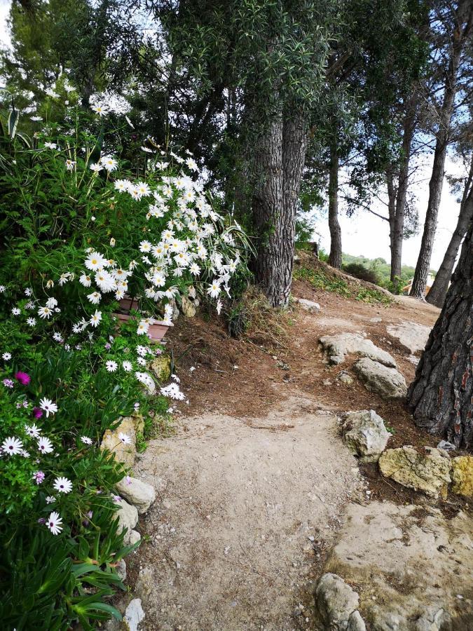 Apartamento Entre La Playa Y La Montana Calafell Exteriör bild